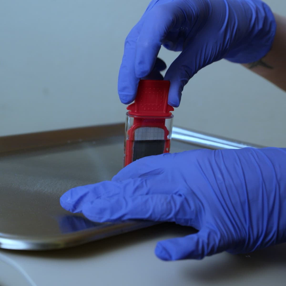 Checking for contamination in dental waterlines